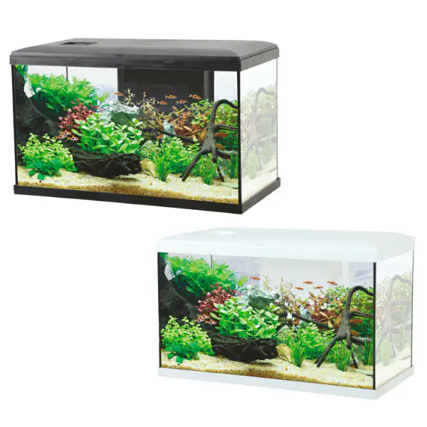 Acquario Ocean modello 60 Aqualovers   bauzaarit.myshopify.com
