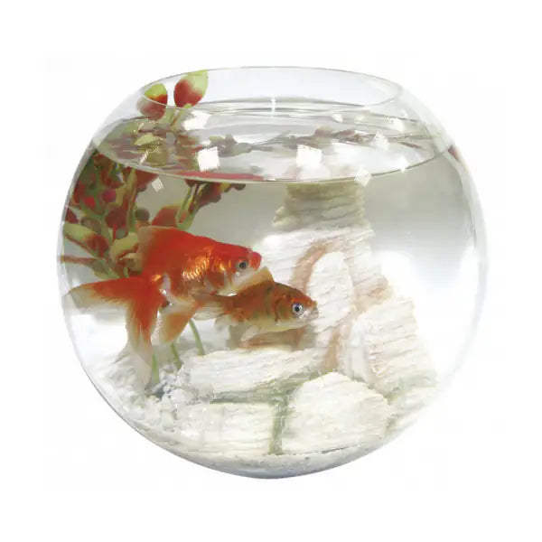 Acquario per pesci rossi Crystal Globe Amtra   bauzaarit.myshopify.com
