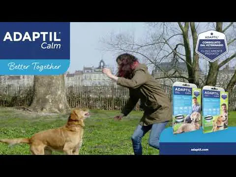 Adaptil Calm Collare calmante per cani   bauzaarit.myshopify.com