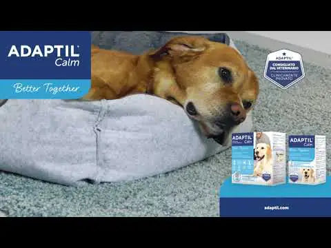 Adaptil Calm Ricarica per diffusore   bauzaarit.myshopify.com
