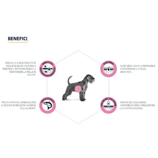 Advance Veterinary Diets Atopic Medium/Maxi   bauzaarit.myshopify.com
