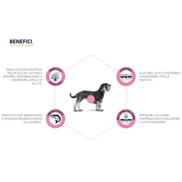 Advance Veterinary Diets Atopic & sensitivity  Mini con Trota e aloe   bauzaarit.myshopify.com