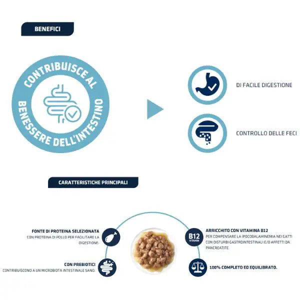 Advance Veterinary Diets Cat Gastroenteric Adult benessere intestinale 85 gr   bauzaarit.myshopify.com