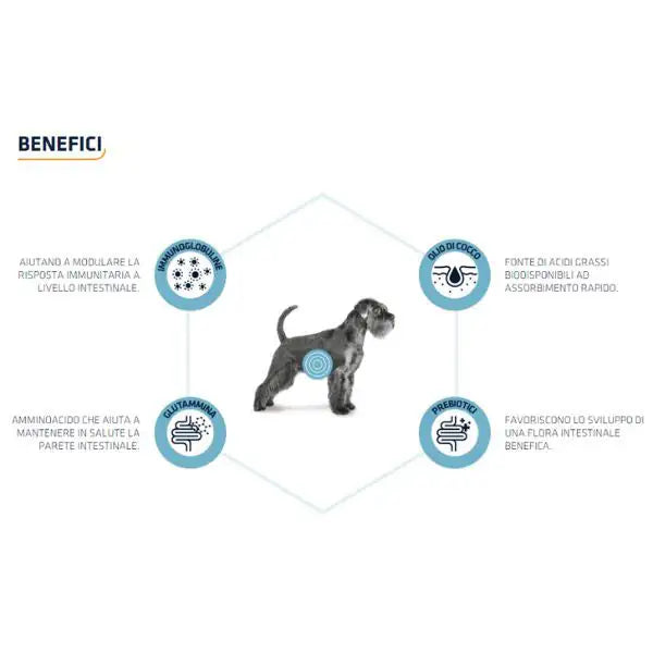 Advance Veterinary Diets Gastroenteric   bauzaarit.myshopify.com