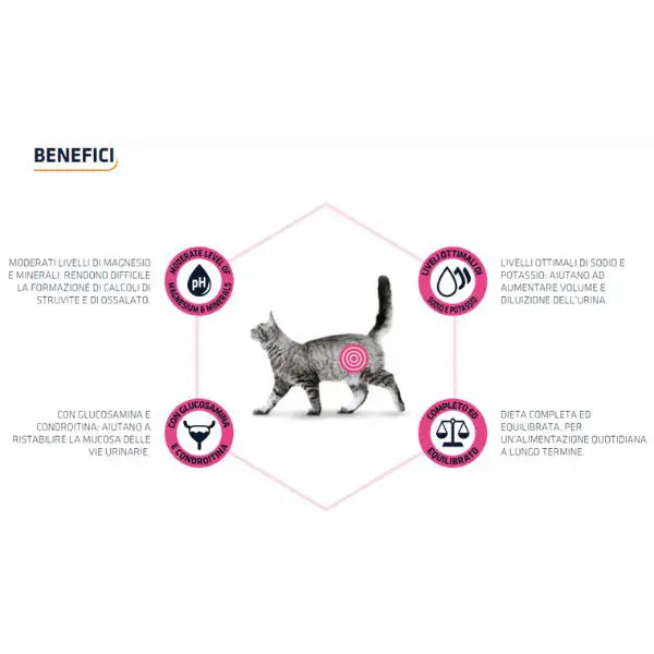 Advance Veterinary Diets Urinary Cat   bauzaarit.myshopify.com