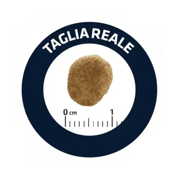 Advance Veterinary Diets Weight Balance Cat   bauzaarit.myshopify.com