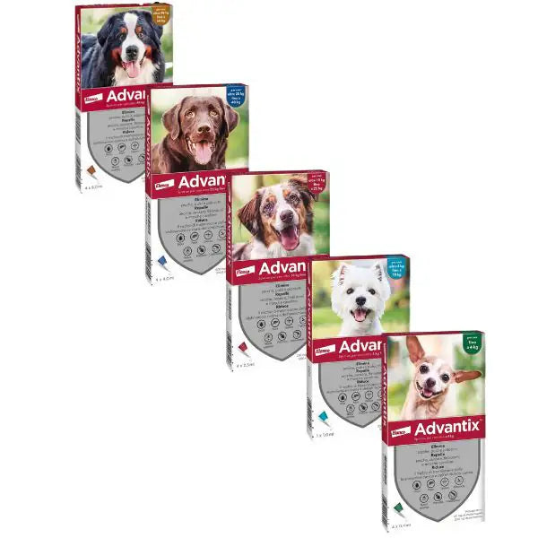 Advantix antiparassitario Spot-On per cani   bauzaarit.myshopify.com