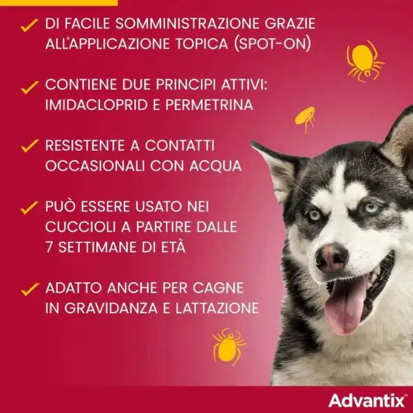 Advantix antiparassitario Spot-On per cani   bauzaarit.myshopify.com