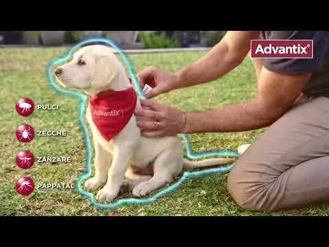Advantix antiparassitario Spot-On per cani   bauzaarit.myshopify.com