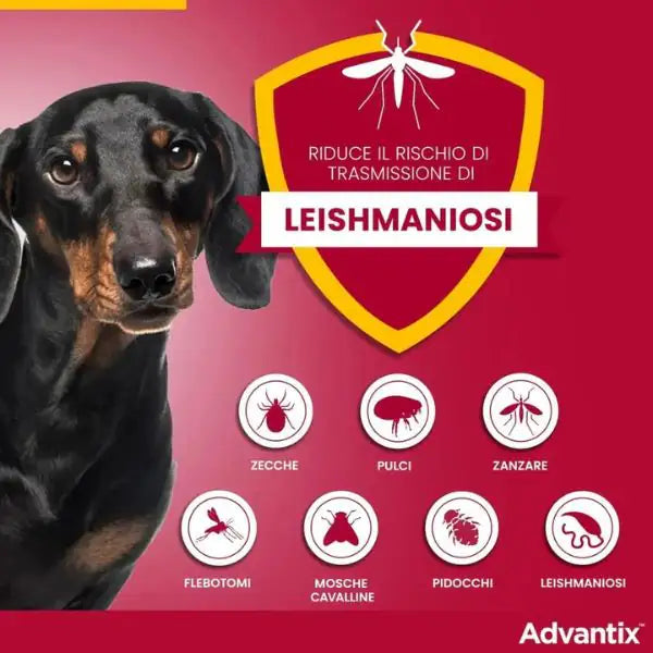 Advantix antiparassitario Spot-On per cani   bauzaarit.myshopify.com