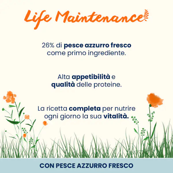 Almo Nature Life Maintenance Adult con Pesce azzurro   bauzaarit.myshopify.com
