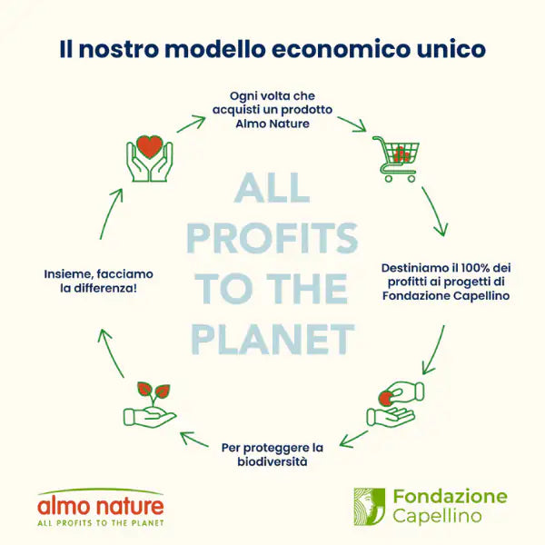 Almo Nature Life Maintenance Large Adult con Salmone   bauzaarit.myshopify.com