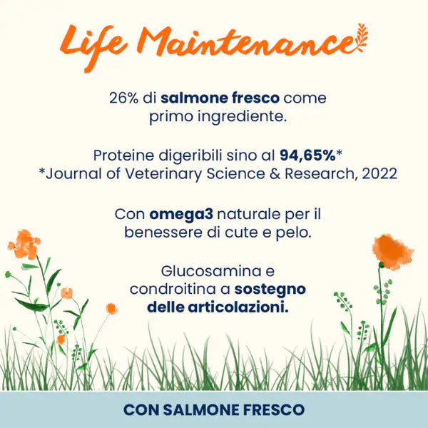 Almo Nature Life Maintenance Large Adult con Salmone   bauzaarit.myshopify.com