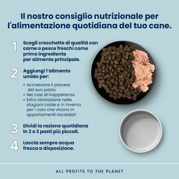 Almo Nature Life Maintenance Large Adult con Salmone   bauzaarit.myshopify.com