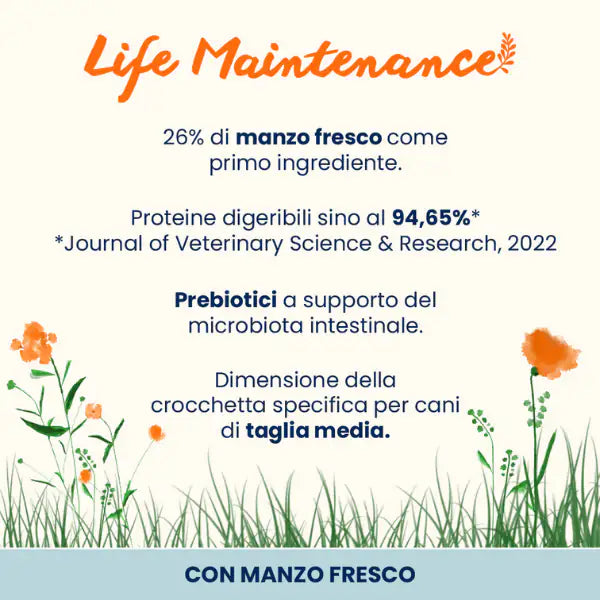 Almo Nature Life Maintenance Medium Adult con Manzo   bauzaarit.myshopify.com