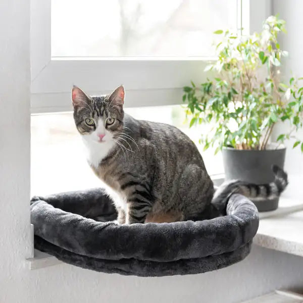 Amaca da davanzale cuccia per gatti in peluche CanadianCat   bauzaarit.myshopify.com