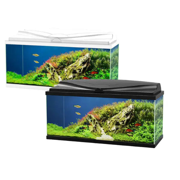 Aquario Aqua 80 Led Askoll portata 70 litri   bauzaarit.myshopify.com