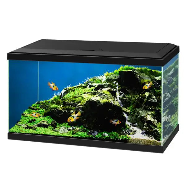 Aquario Ciano Aqua 60 Led Askoll portata 58 litri  Nero - 60 x 30 x 32 cm bauzaarit.myshopify.com