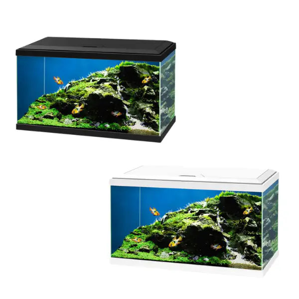 Aquario Ciano Aqua 60 Led Askoll portata 58 litri   bauzaarit.myshopify.com