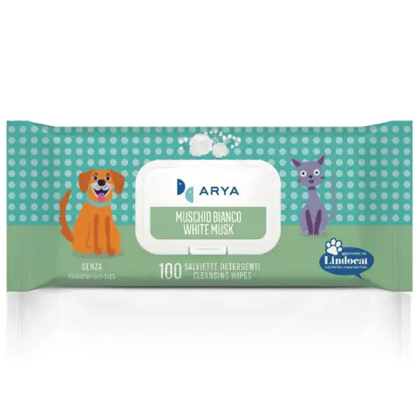 Arya salviette igieniche umidificate detergenti Multiuso  100 salviette Muschio bianco Bauzaar.it