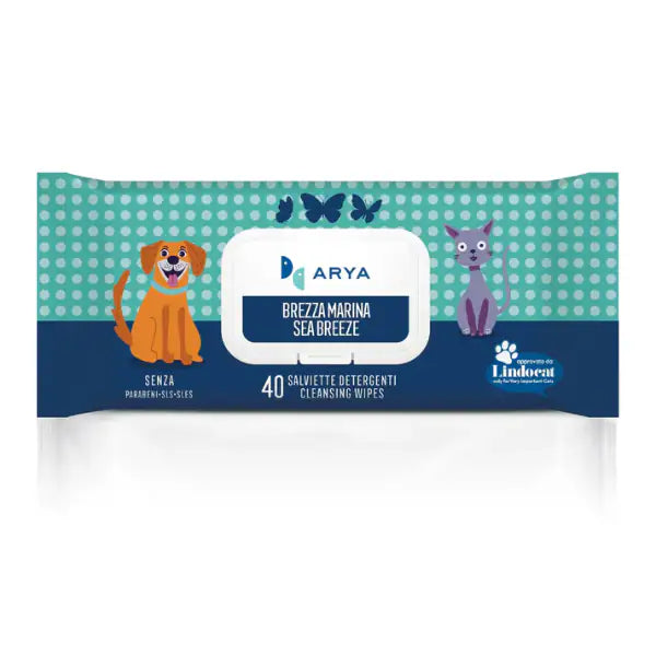 Arya salviette igieniche umidificate detergenti Multiuso  40 salviette Brezza marina Bauzaar.it