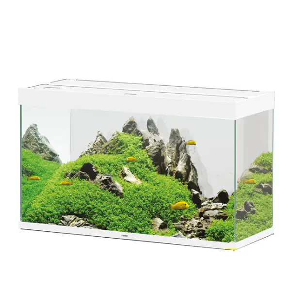 Askoll Acquario Ciano Emotions Nature Pro 100 portata 210 litri  Bianco - 102,4 x 40,2 x 61 cm - Capacità 201 litri bauzaarit.myshopify.com