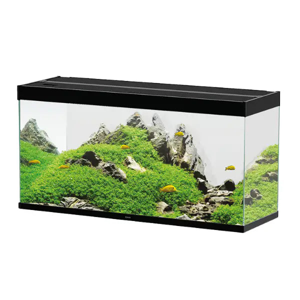 Askoll Acquario Ciano Emotions Nature Pro 100 portata 210 litri  Nero - 102,4 x 40,2 x 61 cm - Capacità 201 litri bauzaarit.myshopify.com