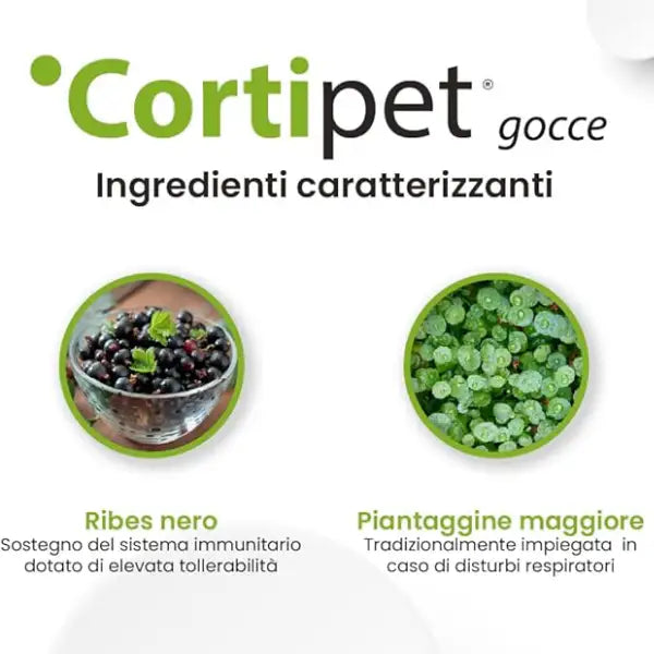 Aurora Biofarma Cortipet Supporto dermico Gocce per cani e gatti   Bauzaar.it