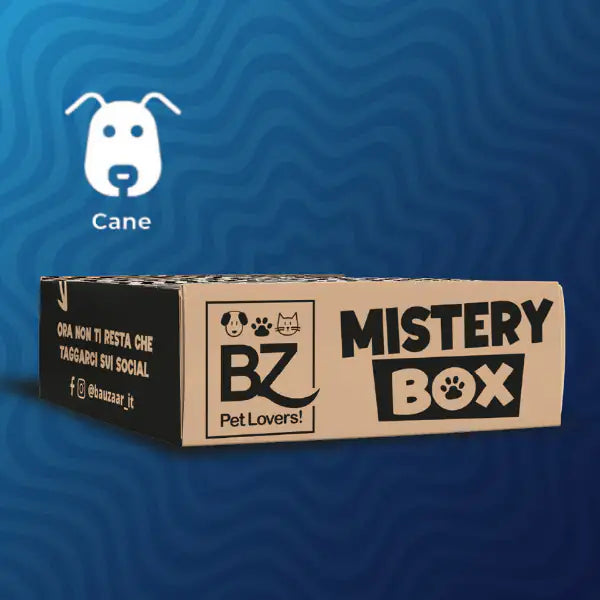 Bauzaar Mistery Box  Cane bauzaarit.myshopify.com