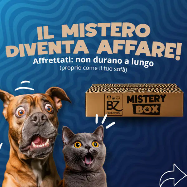 Bauzaar Mistery Box   bauzaarit.myshopify.com