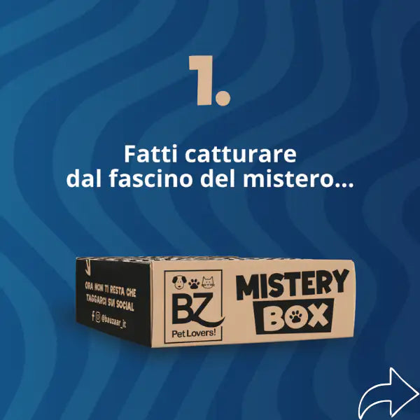 Bauzaar Mistery Box   bauzaarit.myshopify.com