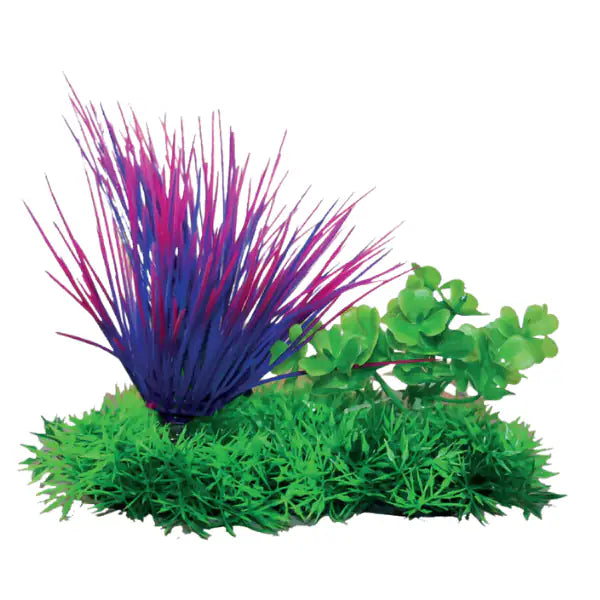 Blu Bios Dekor pianta decorativa per acquari  Aquatic bauzaarit.myshopify.com
