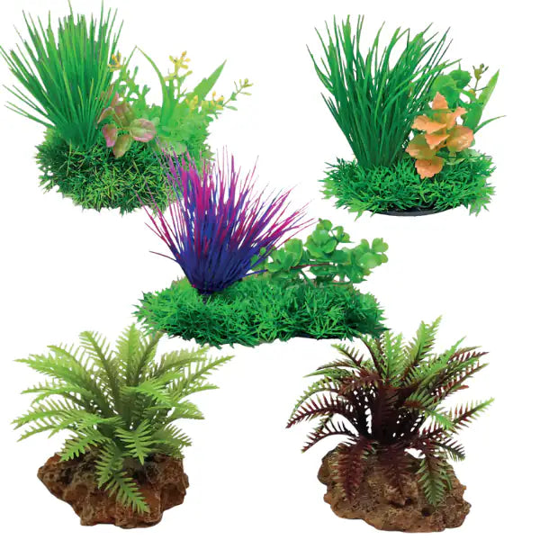 Blu Bios Dekor pianta decorativa per acquari   bauzaarit.myshopify.com