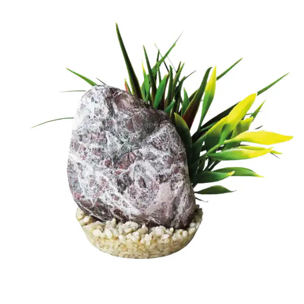 Blu Bios Pietra decorativa con pianta per acquari  Zebra stone bauzaarit.myshopify.com