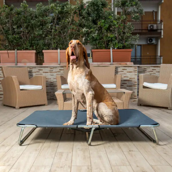 Brandina richiudibile per cani da esterni PetUp   bauzaarit.myshopify.com