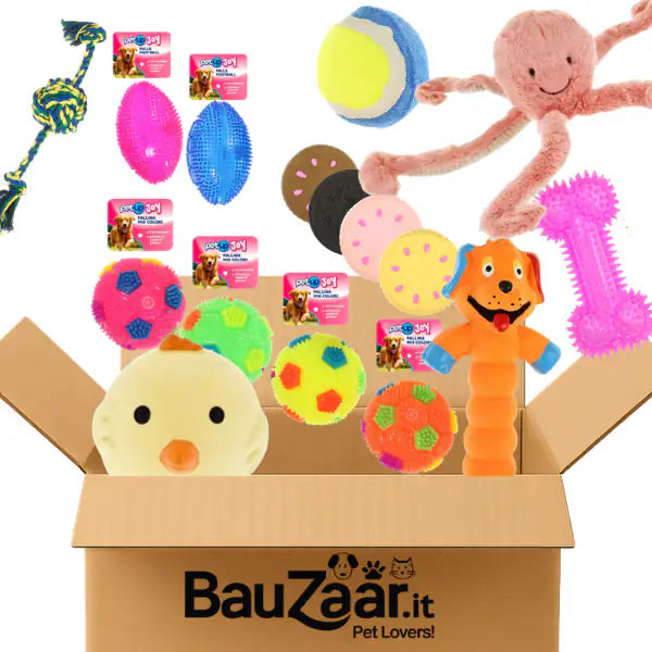 Bundle convenienza: giochi per cani Set Plus   Bauzaar.it