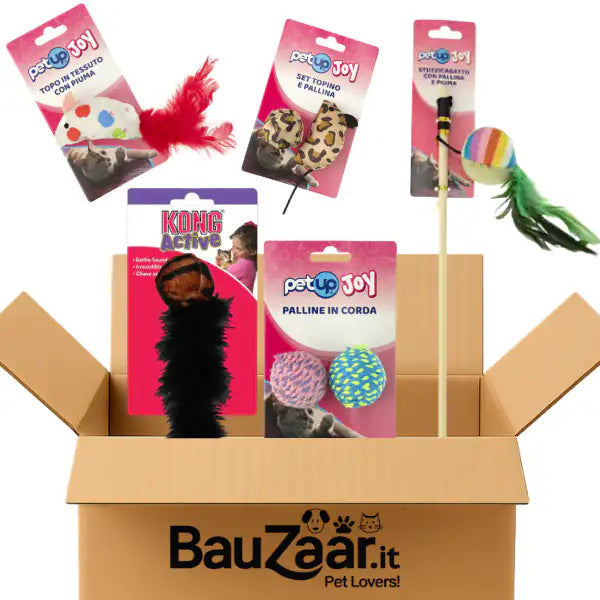 Bundle convenienza: giochi per gatti Set Basic   Bauzaar.it