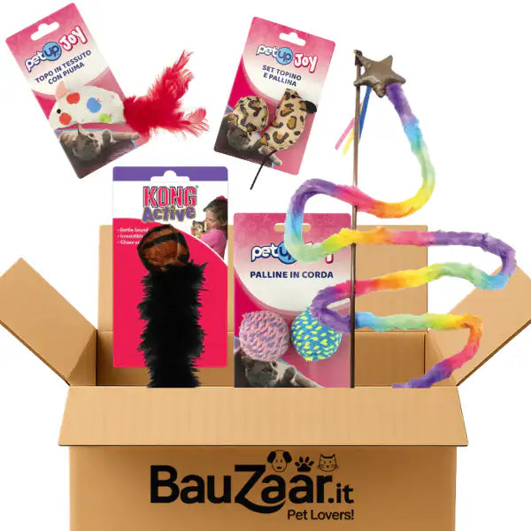 Bundle convenienza: giochi per gatti Set Basic   Bauzaar.it