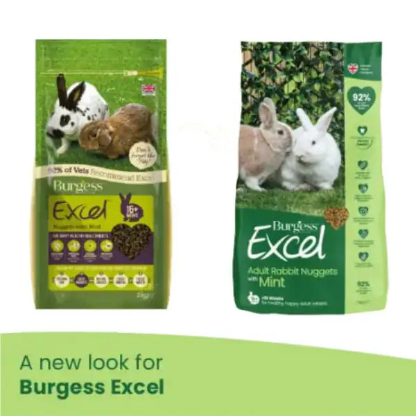Burgess Excel Coniglio Adult Menta   bauzaarit.myshopify.com