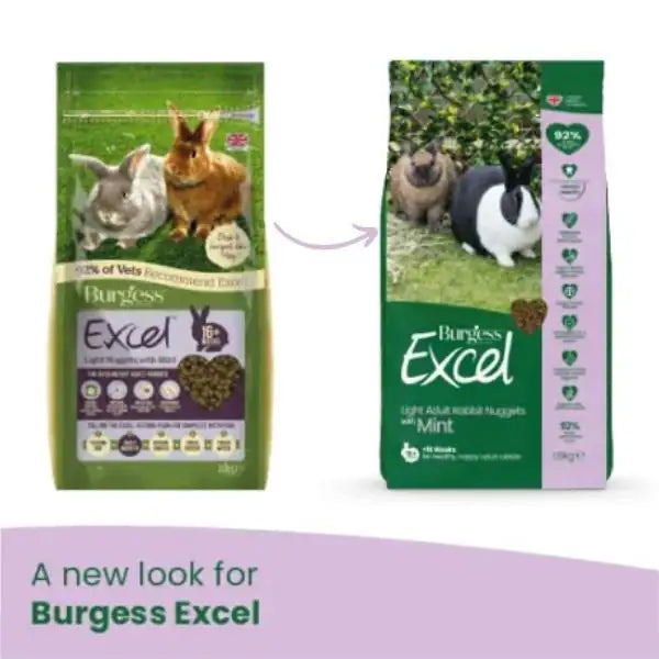 Burgess Excel Coniglio Light   bauzaarit.myshopify.com