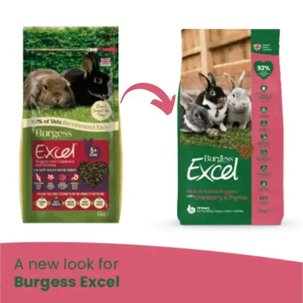 Burgess Excel Coniglio Mature   bauzaarit.myshopify.com