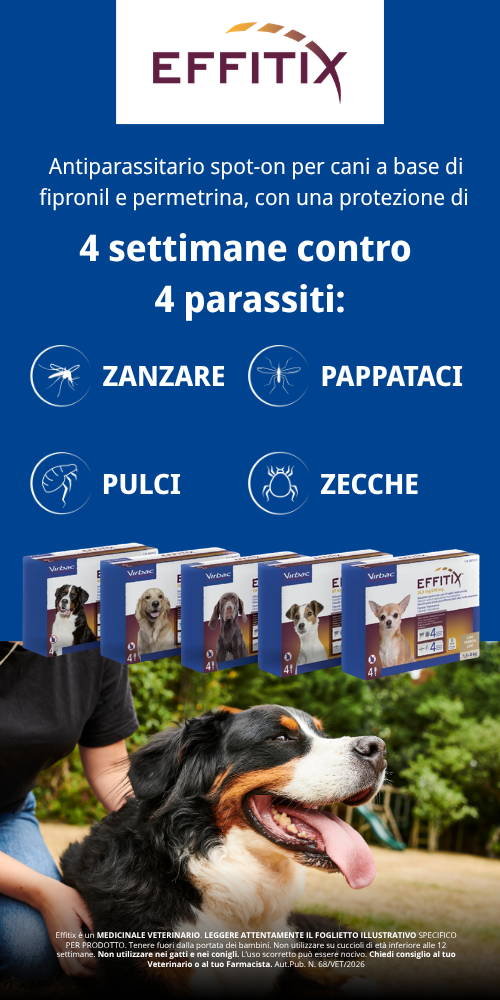Bauzaar.it