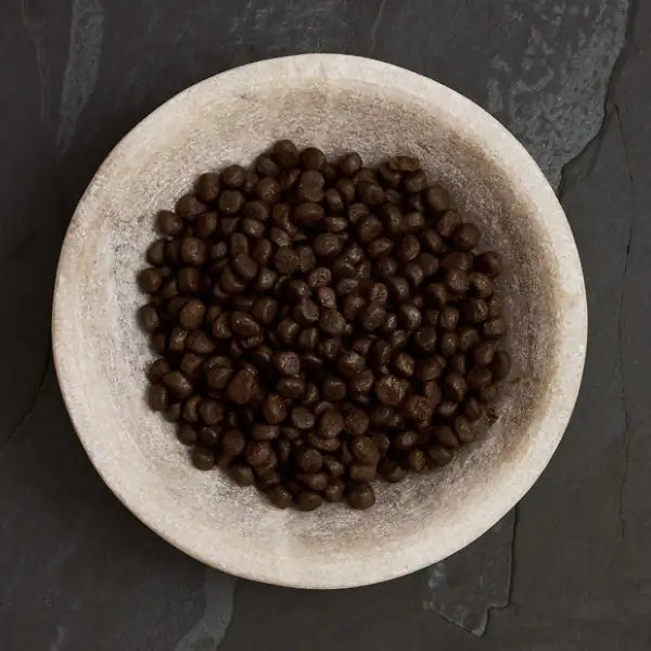 Canagan for Cats Adult Grain Free Skin&Coat Pollo   bauzaarit.myshopify.com