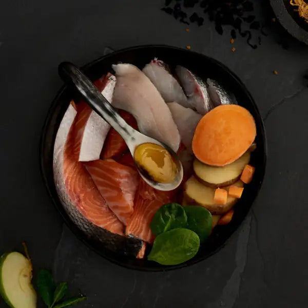 Canagan for Cats Adult Grain Free Skin&Coat Salmone scozzese   bauzaarit.myshopify.com