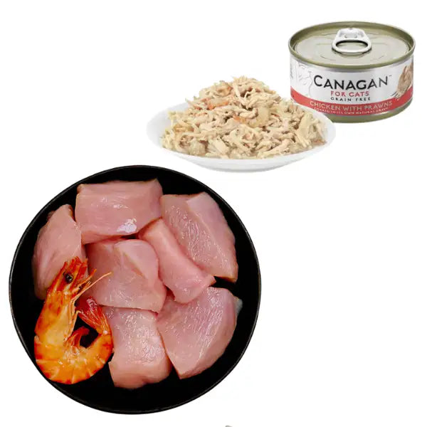 Canagan for Cats Kitten & Adult Grain Free Filetti 75 gr   bauzaarit.myshopify.com