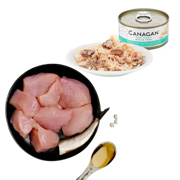 Canagan for Cats Kitten & Adult Grain Free Filetti 75 gr   bauzaarit.myshopify.com