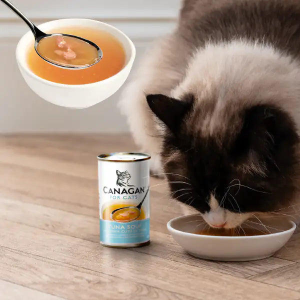 Canagan for Cats Kitten & Adult Zuppe di pesce 140 gr   bauzaarit.myshopify.com