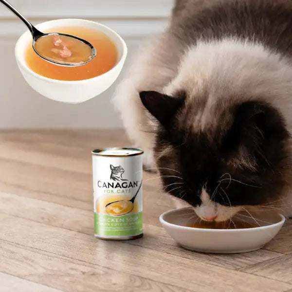 Canagan for Cats Kitten & Adult Zuppe di pesce 140 gr   bauzaarit.myshopify.com