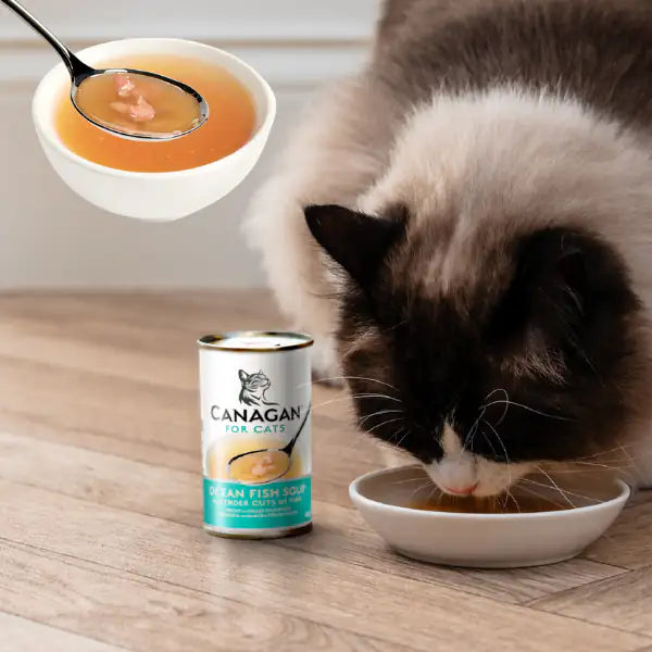Canagan for Cats Kitten & Adult Zuppe di pesce 140 gr   bauzaarit.myshopify.com