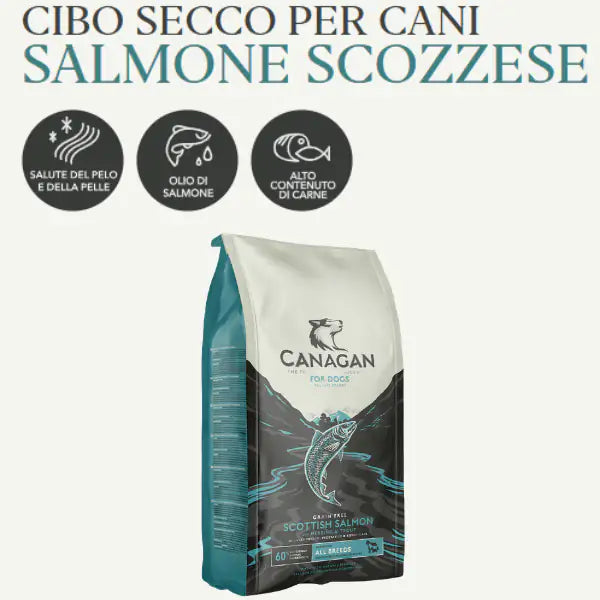 Canagan for Dogs Adult All Breeds Grain Free Skin&Coat Salmone scozzese   bauzaarit.myshopify.com